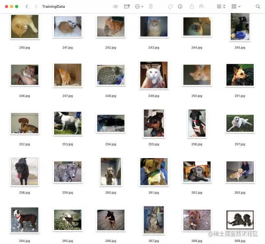 包含训练图像的文件夹