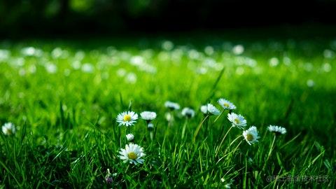 解璎的学习日记