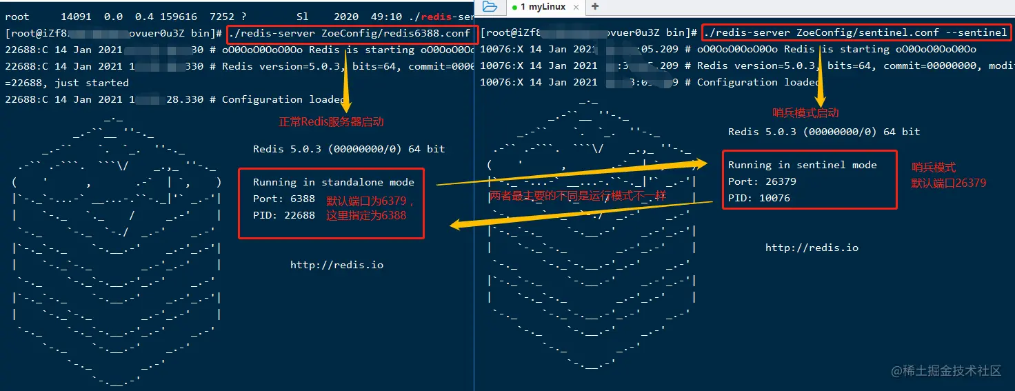 image-20210114164300813