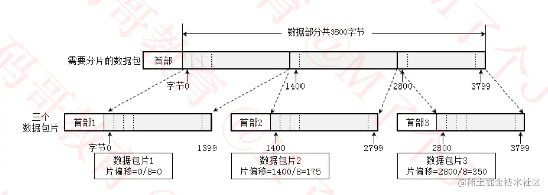 image-20220819002231470