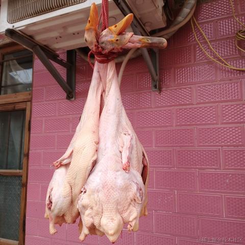 晴天多云于2022-12-11 14:09发布的图片