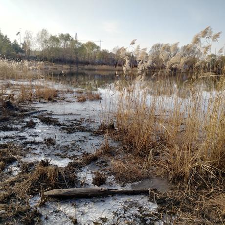 西风断冷月残于2022-11-22 09:23发布的图片