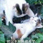 坐在屋顶发呆于2021-05-01 13:01发布的图片