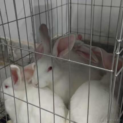 仪沉香于2022-11-18 22:45发布的图片