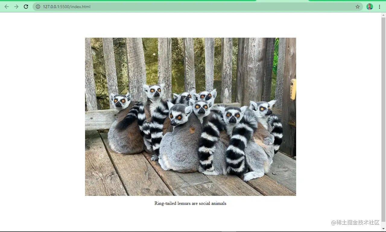 wrong-captioning-1