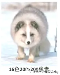 enter description here