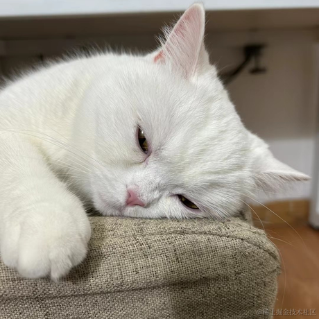 slash1024于2023-06-06 00:21发布的图片