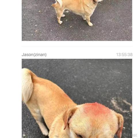 提醒喝水小助手_于2023-04-07 11:20发布的图片