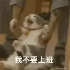 玛露露喵于2023-06-04 09:55发布的图片