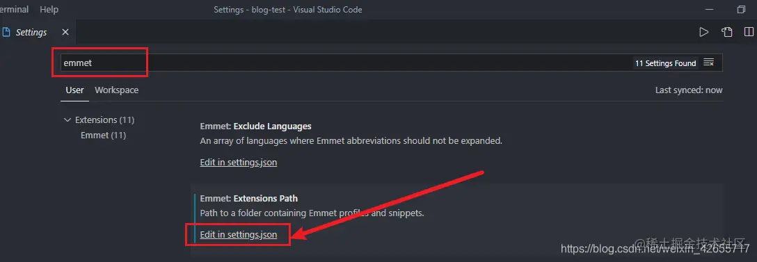 Emmet.Extensions Path