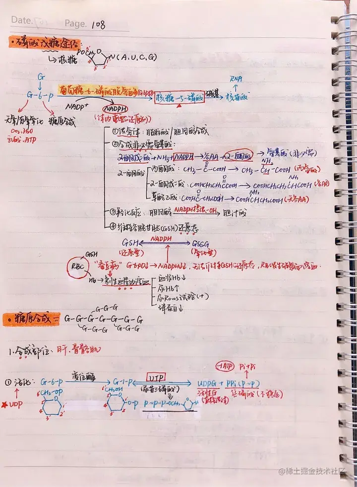 生化手写笔记.pdf