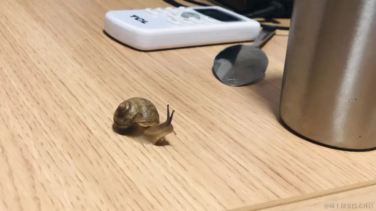 爬上24楼的蜗牛