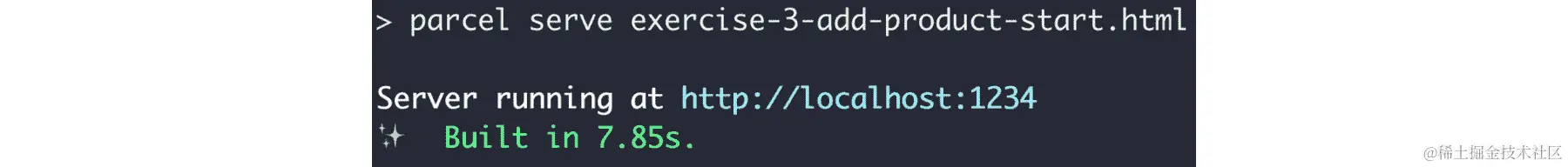 图 10.9：运行 npm run Exe