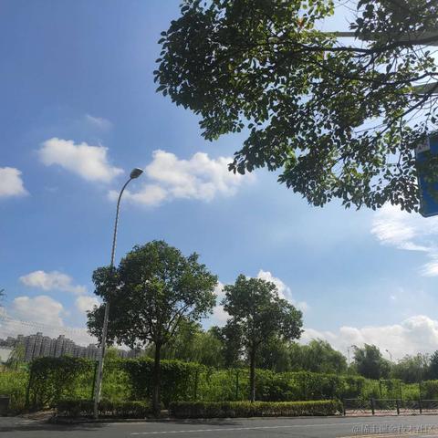 sunshinehh于2021-07-21 12:52发布的图片