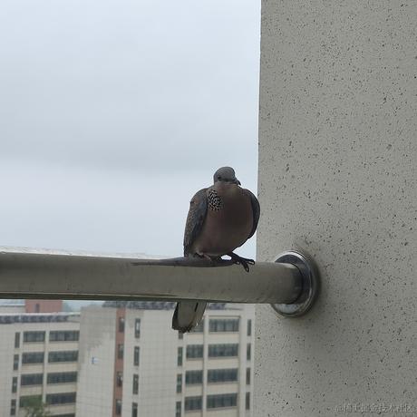 Willow_于2023-06-25 16:37发布的图片