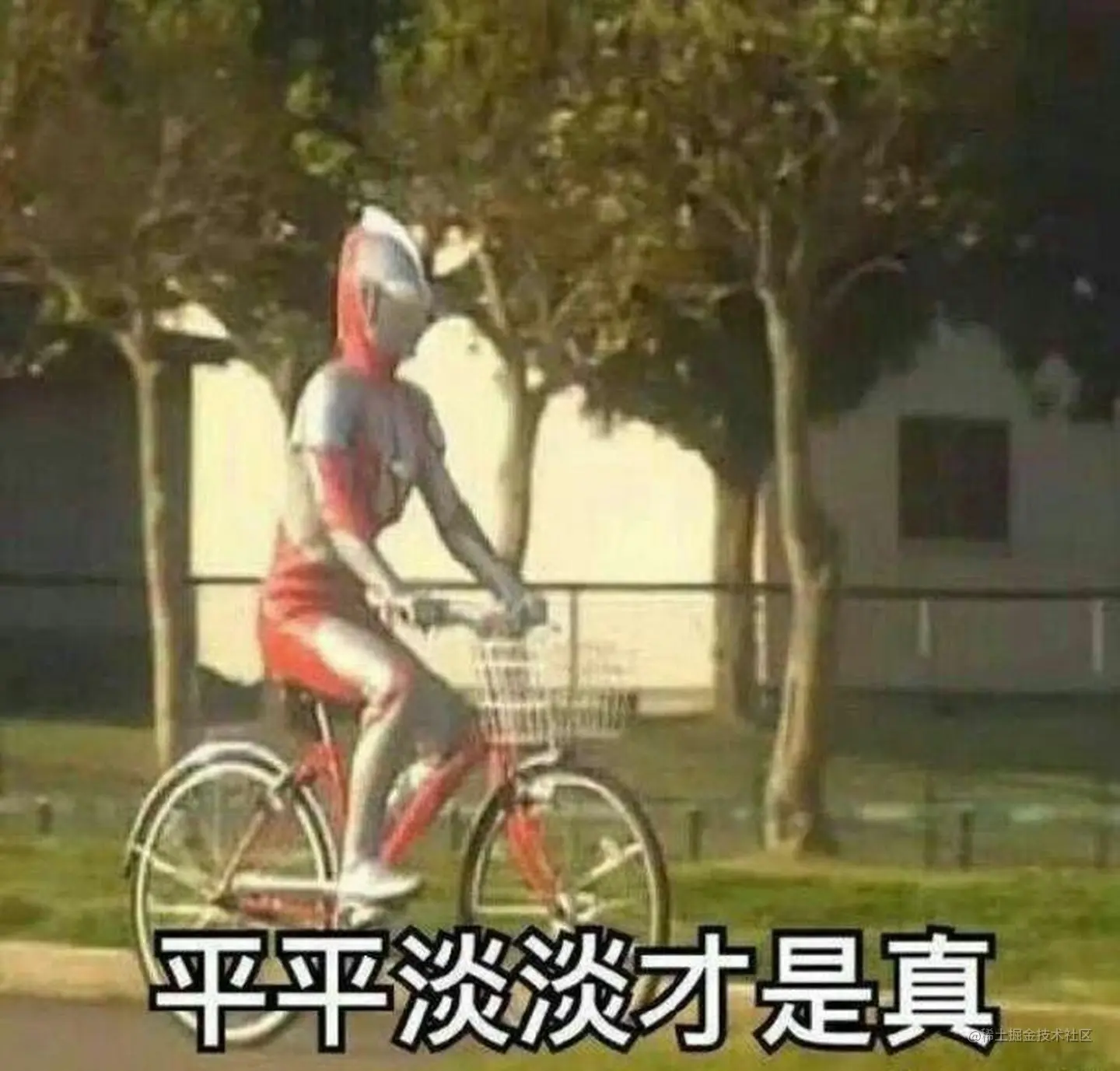 平平淡淡才是真