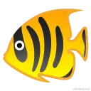 tropical_fish