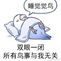 明天一定早睡于2022-07-26 00:21发布的图片