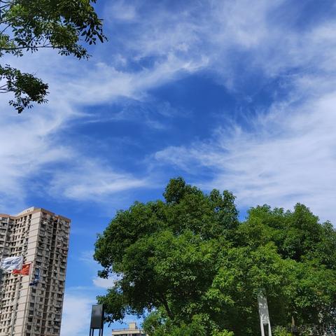 玖月Sarah_于2023-09-05 00:15发布的图片