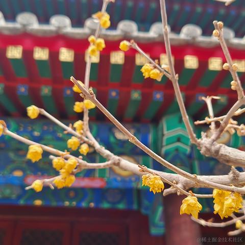 violetBlue于2023-03-28 07:58发布的图片