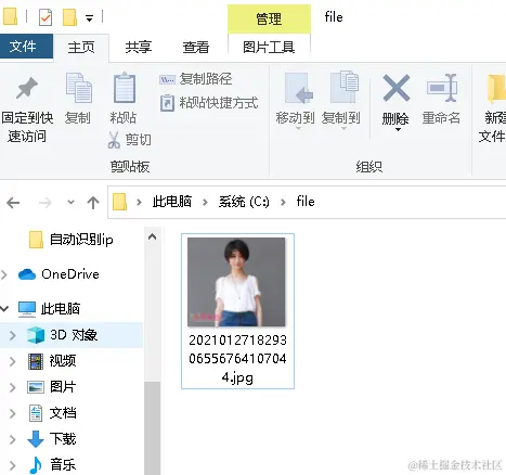 上传的文件目录