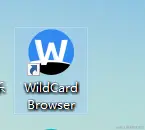 image-20240325000941687