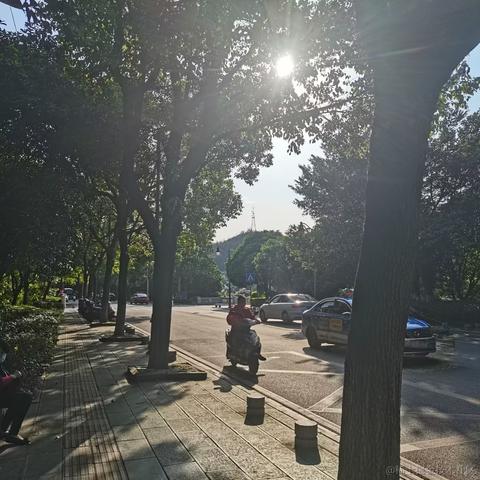 曼策于2023-04-30 08:28发布的图片