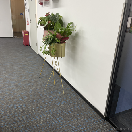 打倒陈昭于2021-12-16 16:31发布的图片