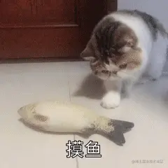 001.gif