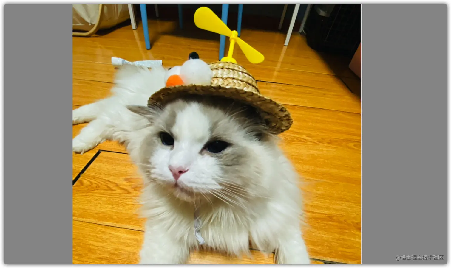 image-20210815172140173