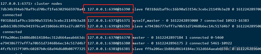 image-20210202131533747