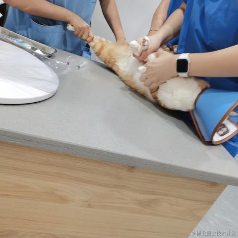 en送你一朵小红花于2022-09-09 14:53发布的图片