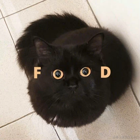 白影于2022-11-22 23:52发布的图片