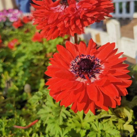 小小喵于2023-03-11 11:57发布的图片