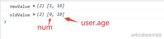 image-20220205204425869