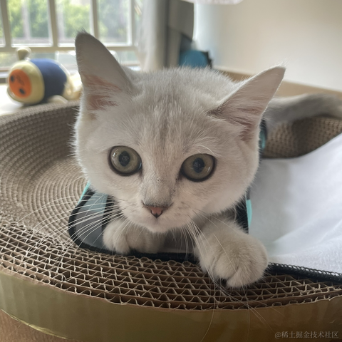 旋律丶于2022-10-20 15:11发布的图片