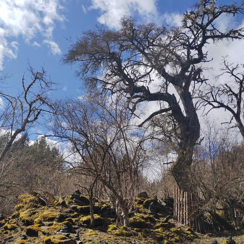 用户681288150871于2023-04-26 00:45发布的图片