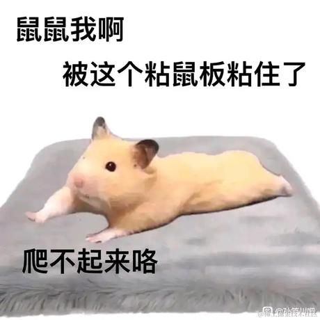 灌注嘉然向晚贝拉乃琳喵于2022-11-18 13:07发布的图片