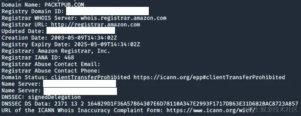 图 3.3 - 从 WHOIS 检索的 DNS 信息