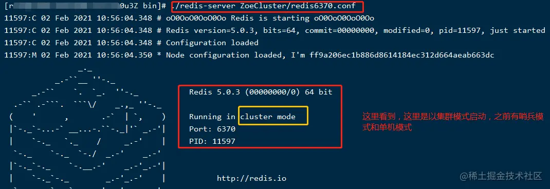 image-20210202110403525