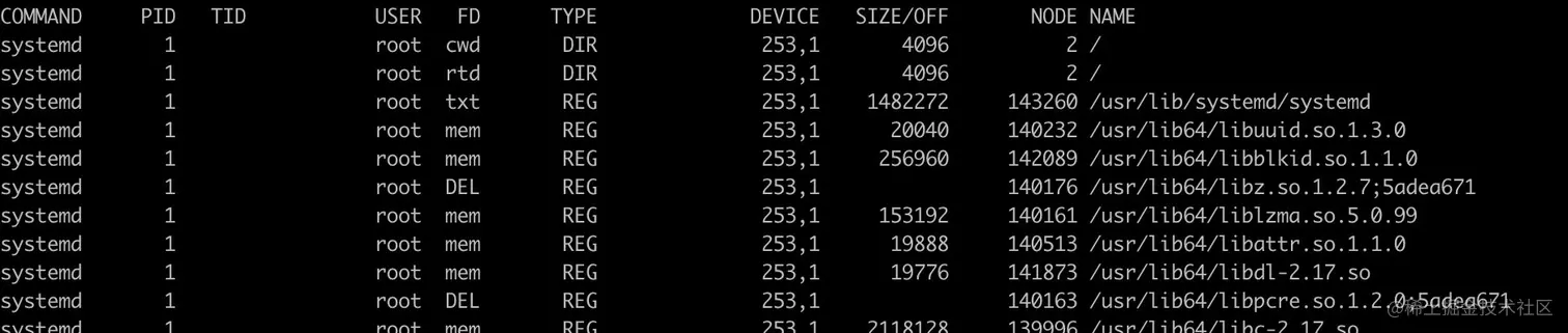 image-20210314223930189