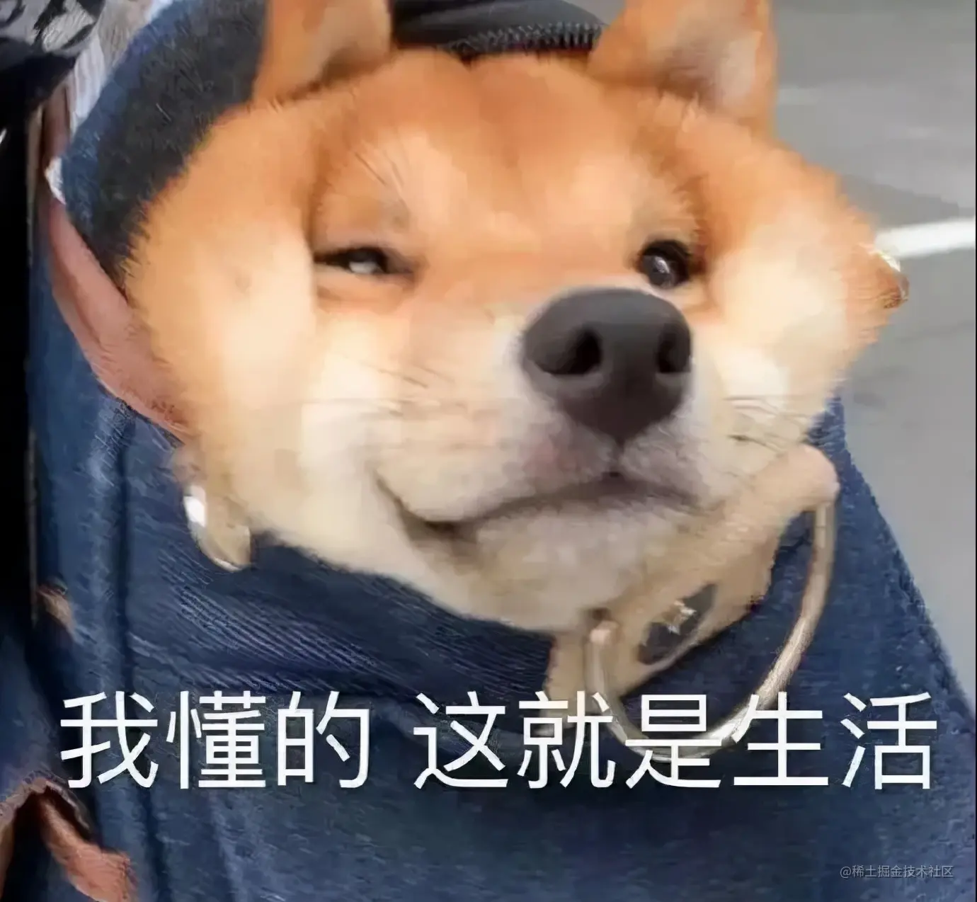 因为自己的能力不足。对不起，这个offer，我拿不了