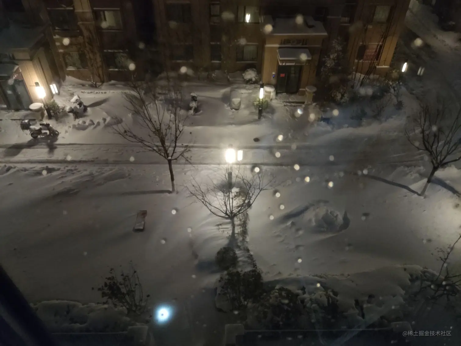 snow.jpg