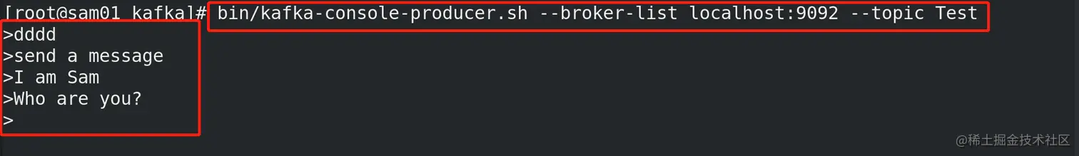 image-20220806203735235