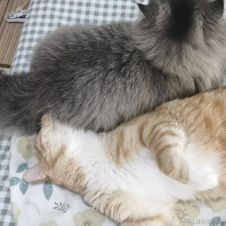 下凡冲浪辛苦了于2022-11-24 17:55发布的图片