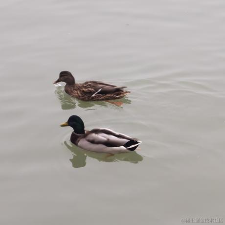 望京于2022-11-24 10:09发布的图片