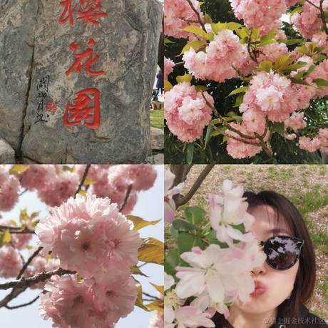 吃个桃子于2023-04-11 15:31发布的图片