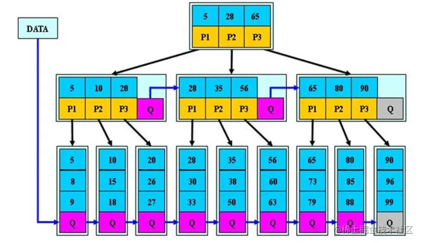 image-20220225144651613