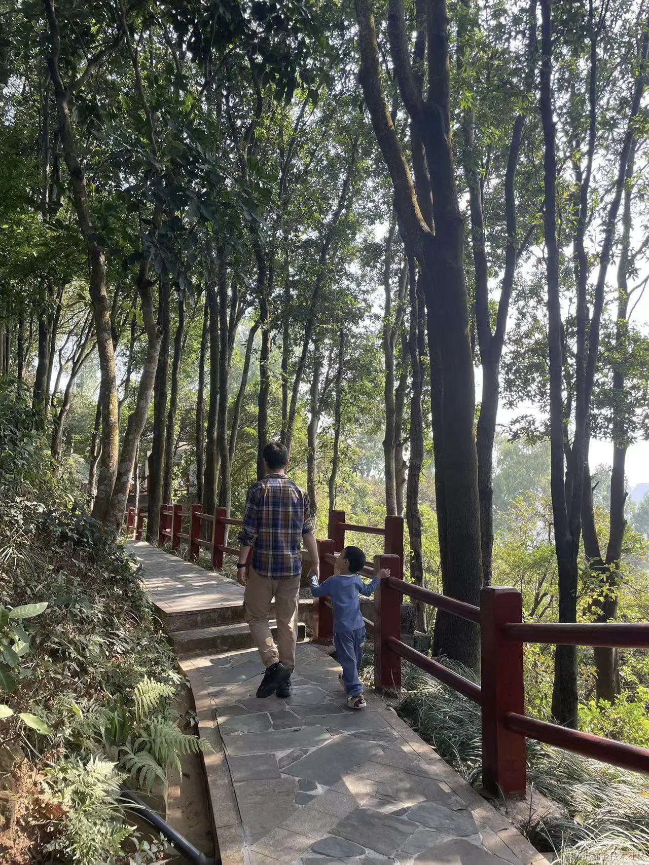银湖山郊野公园